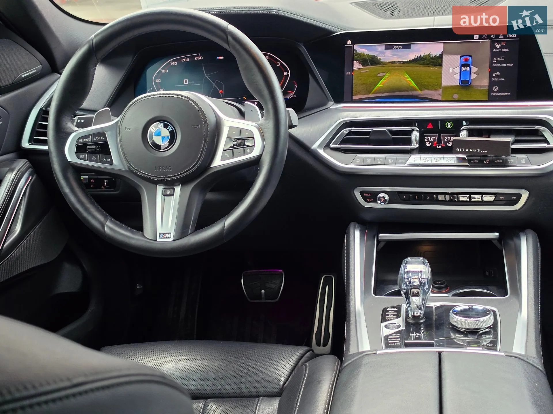 2019 BMW X6 - мініатюра 60