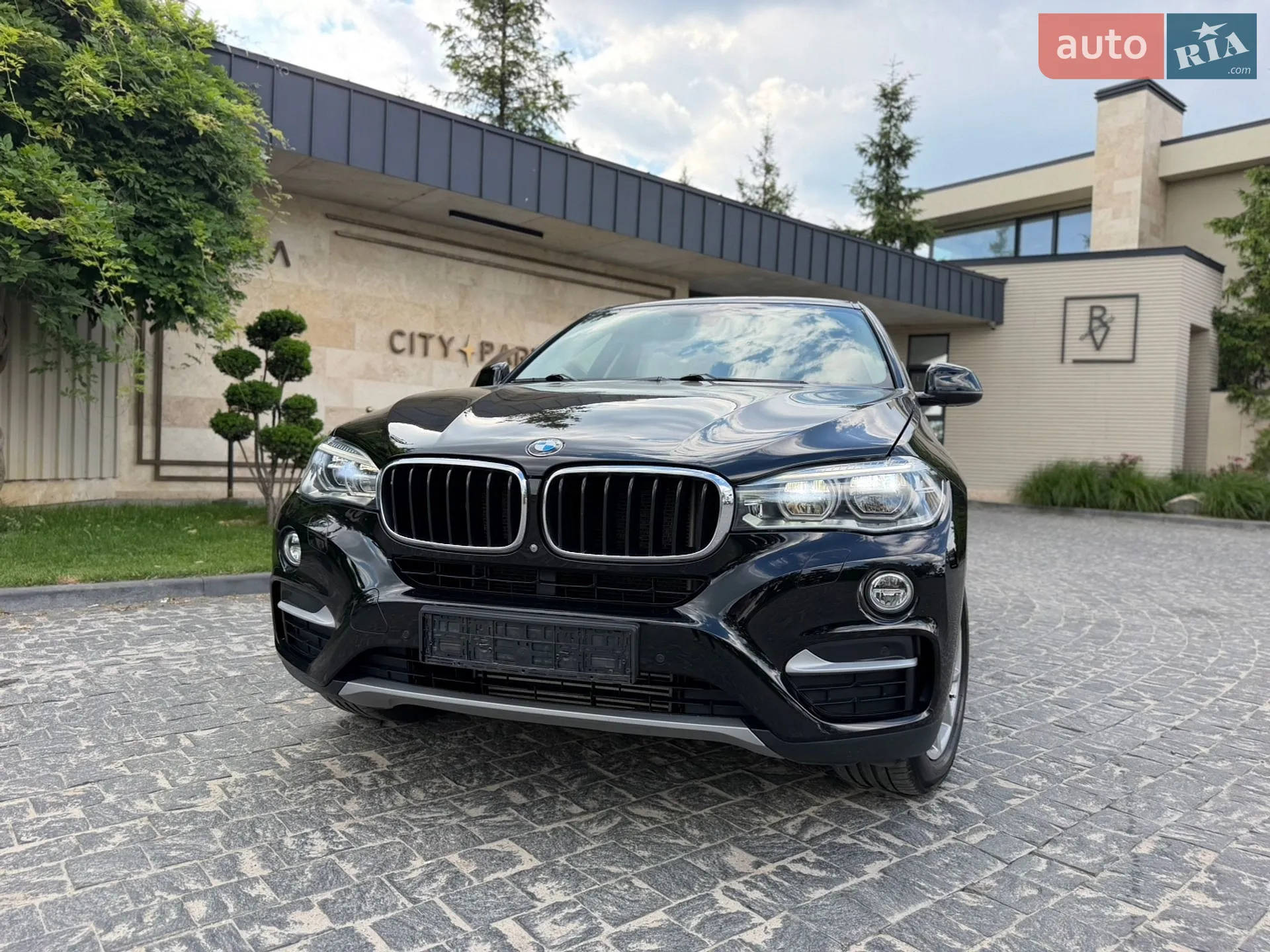 2016 BMW X6 - мініатюра 2