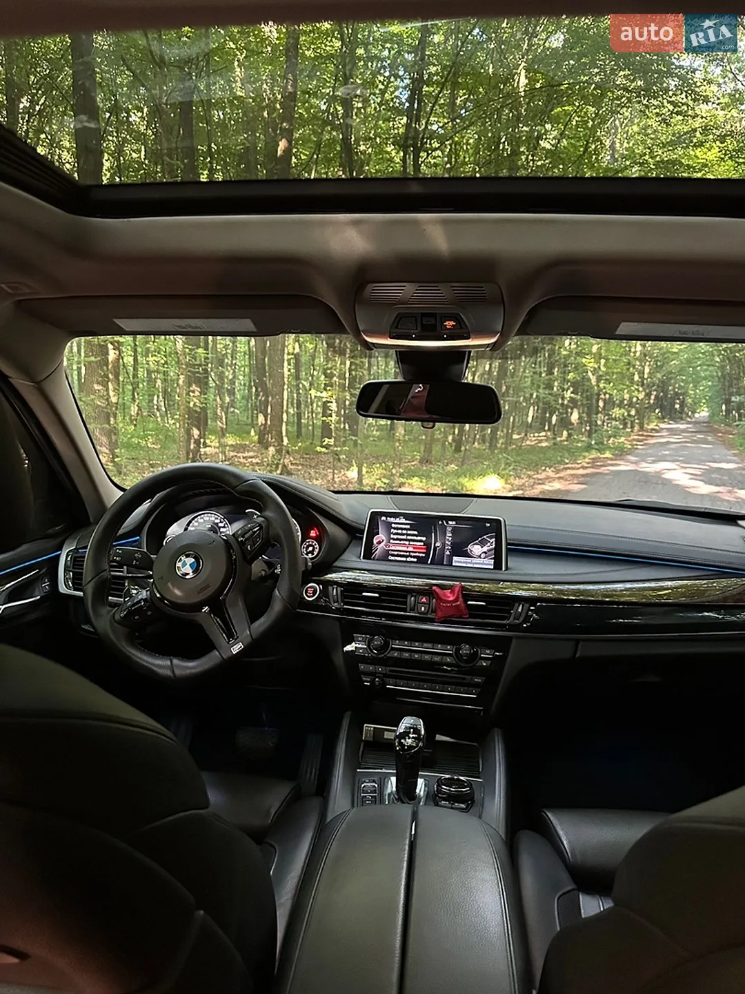 2014 BMW X6 - мініатюра 13