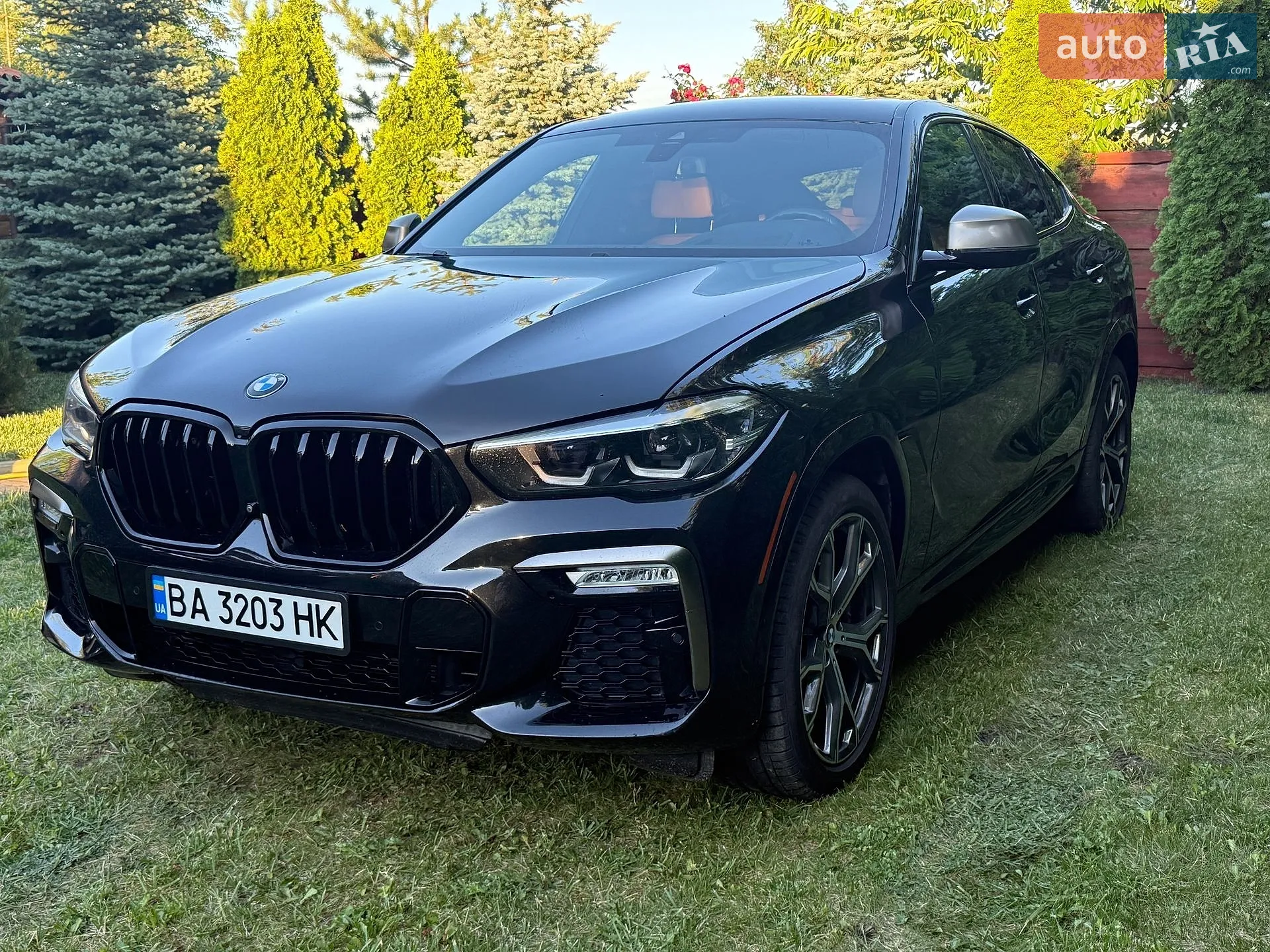 2020 BMW X6 - мініатюра 4