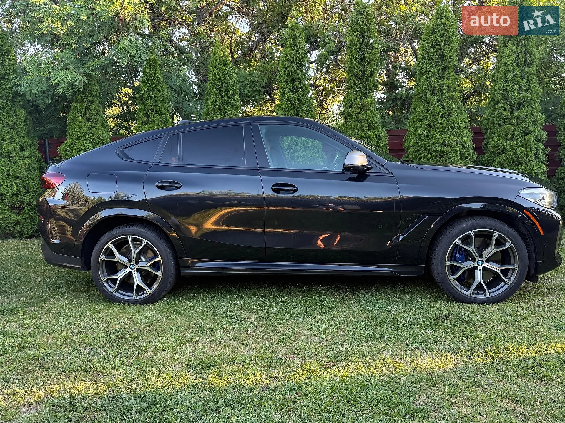 2020 BMW X6 - мініатюра 5