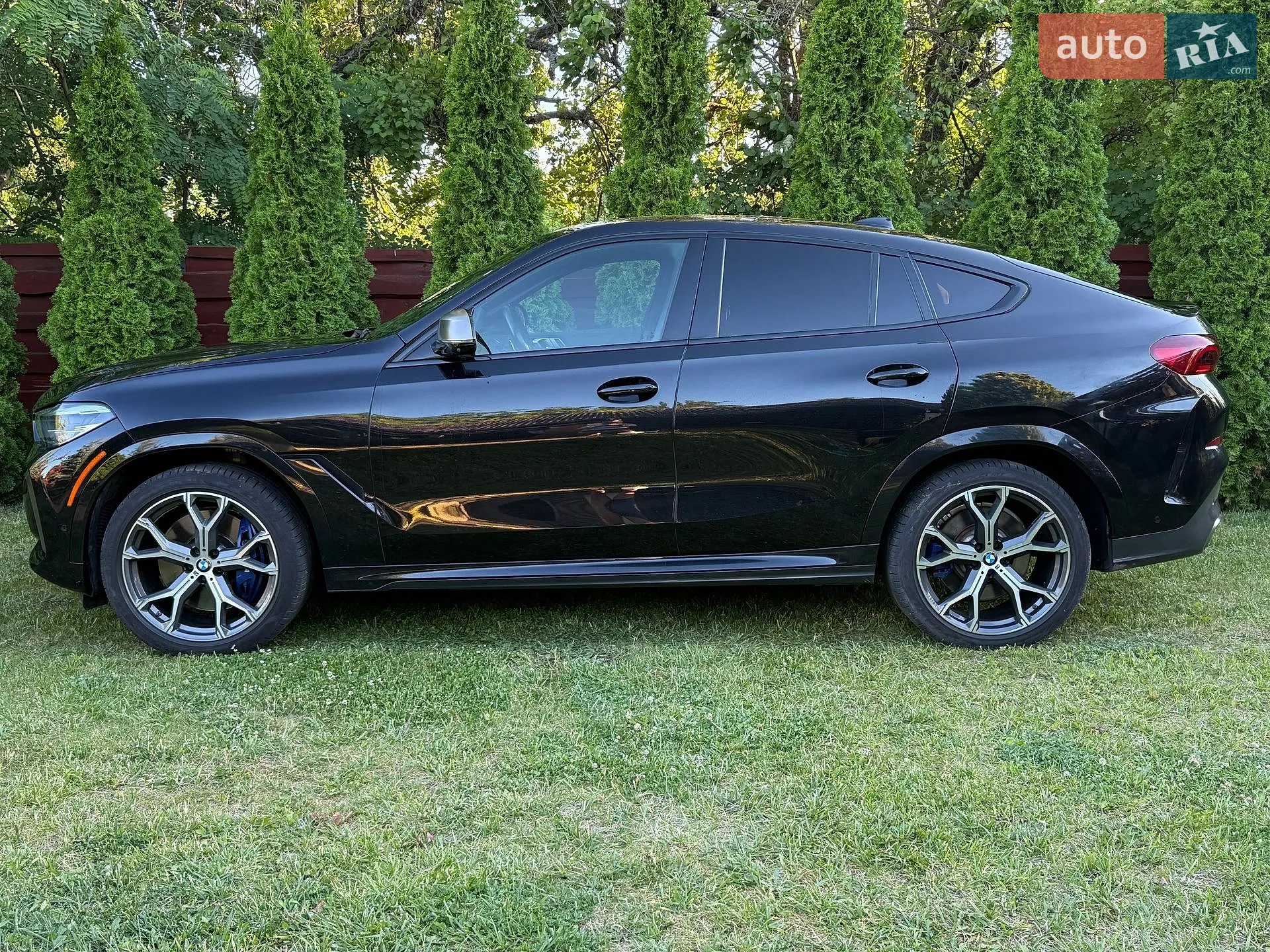 2020 BMW X6 - мініатюра 8