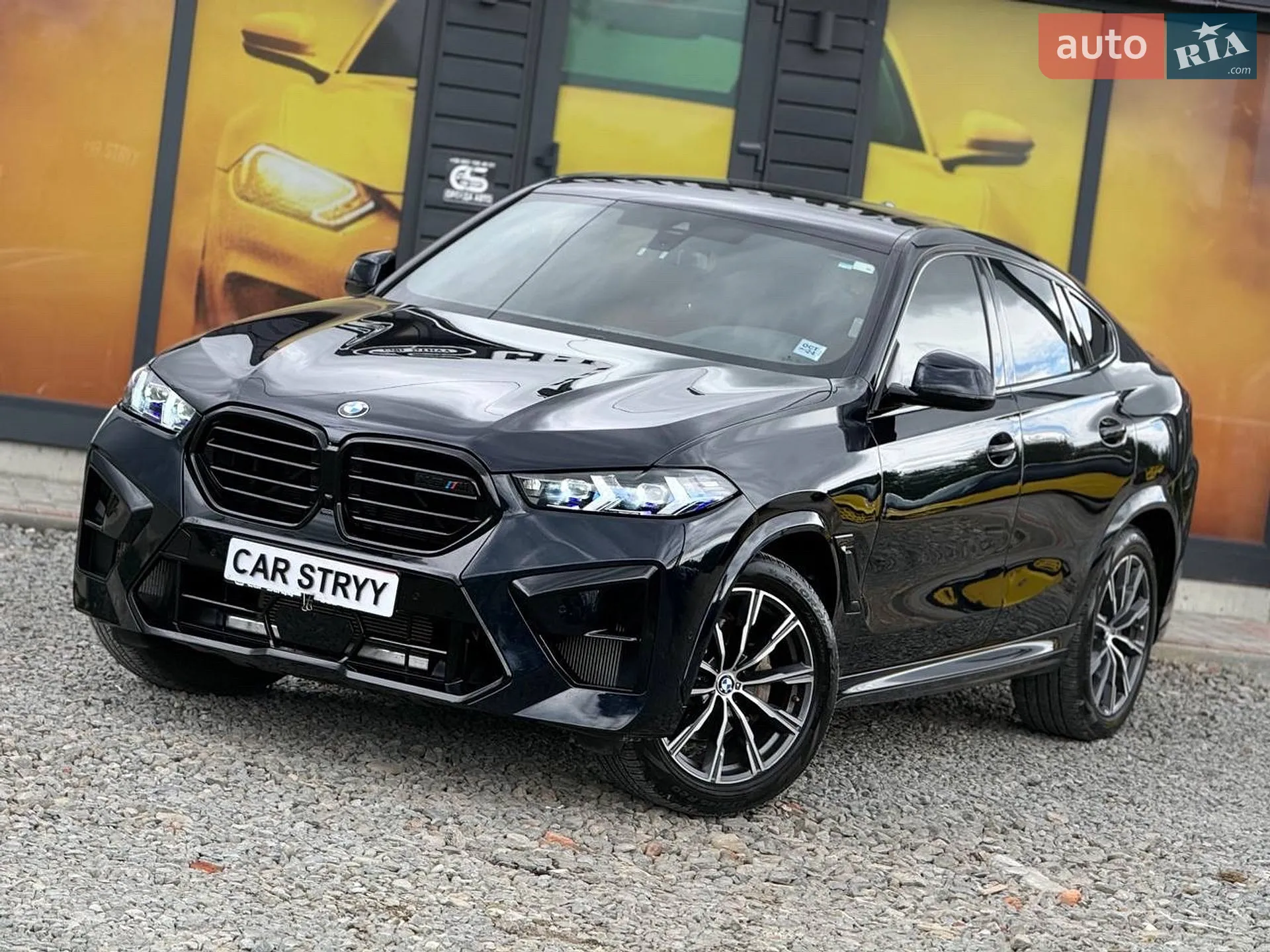 2021 BMW X6 - мініатюра 6