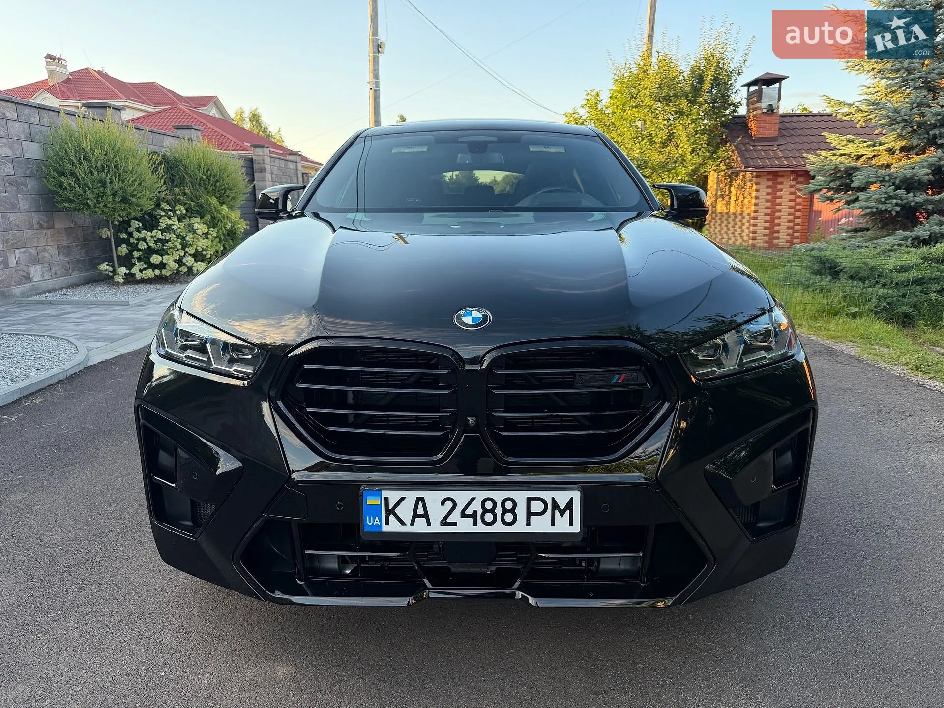 2021 BMW X6 - мініатюра 3