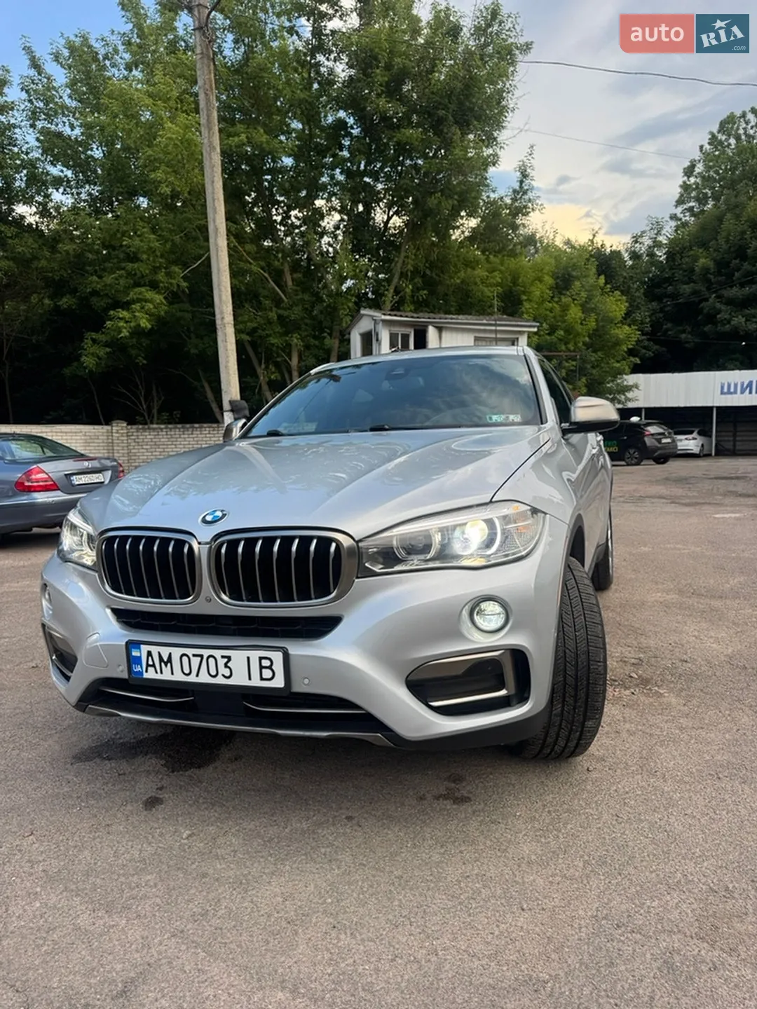 2018 BMW X6 - мініатюра 5
