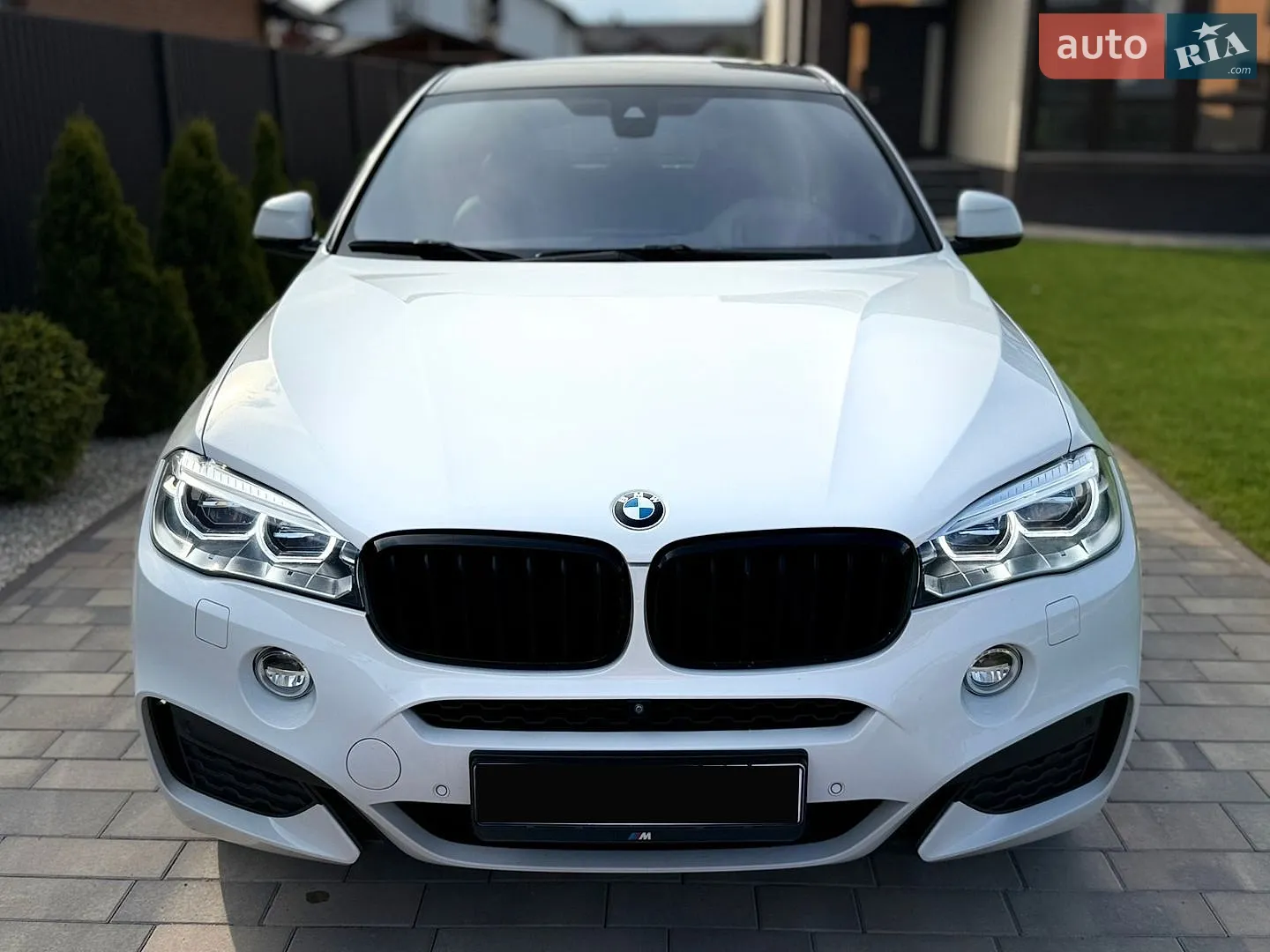 2017 BMW X6 - мініатюра 7