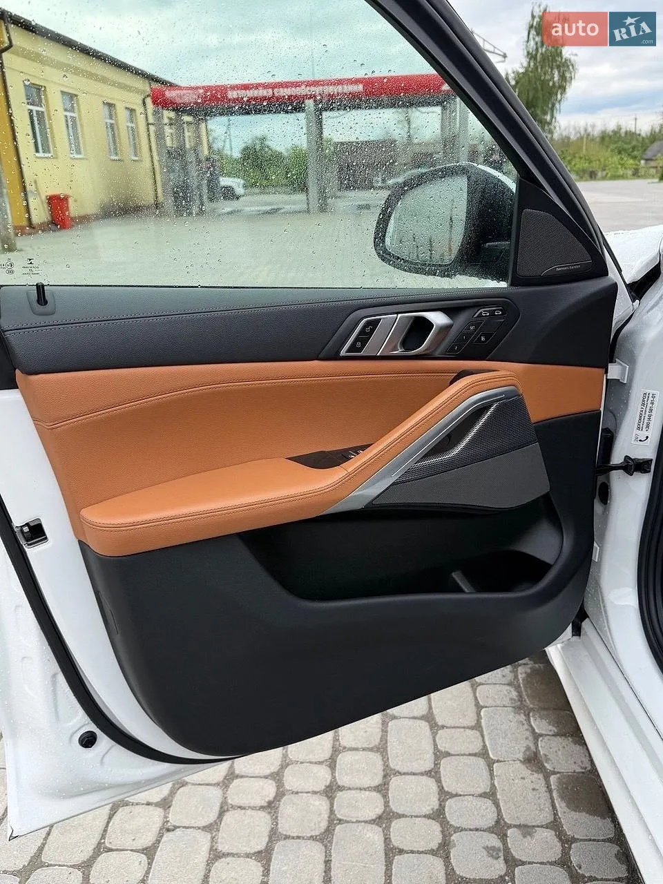 2020 BMW X6 - мініатюра 5