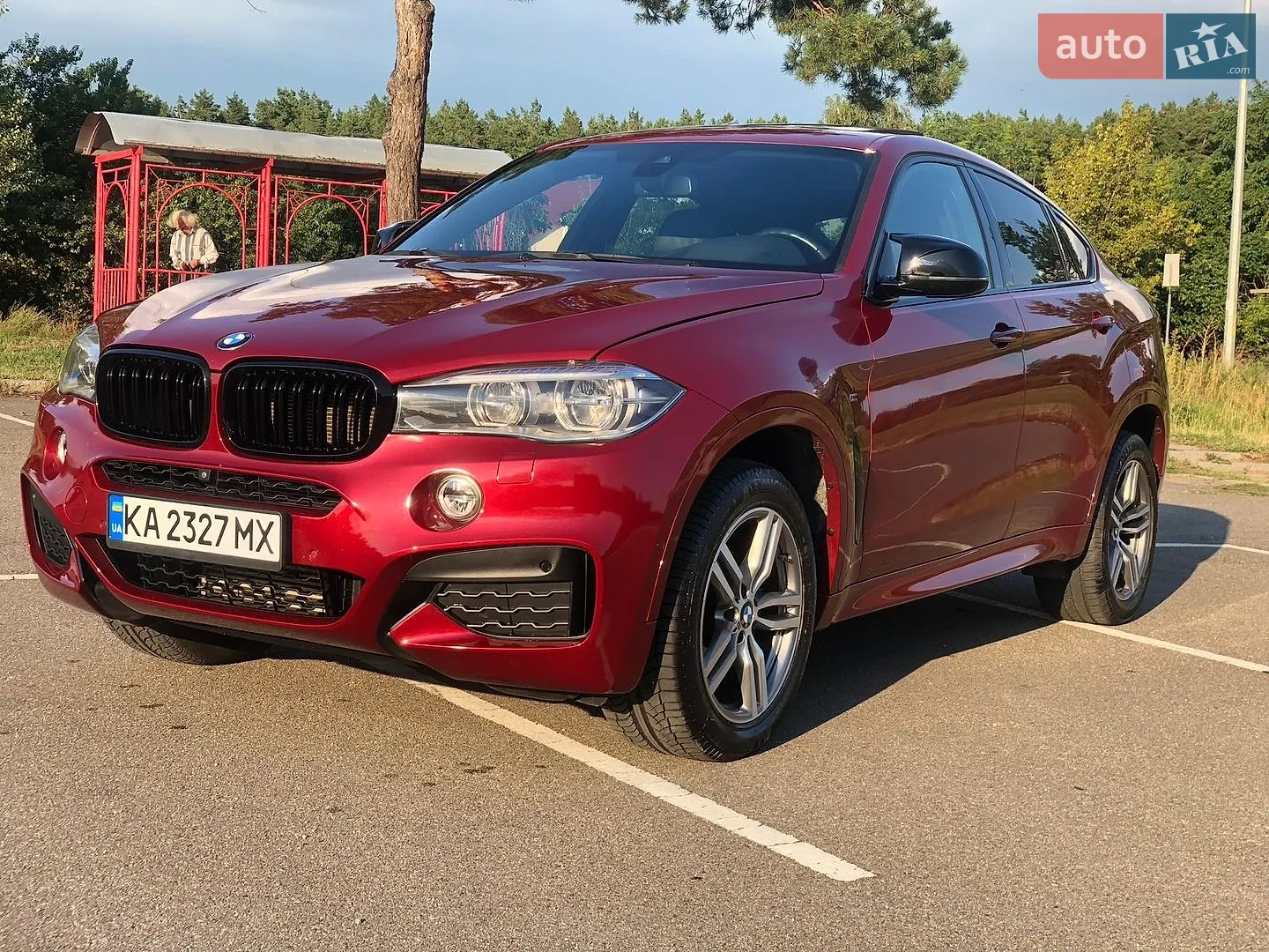 2017 BMW X6 - мініатюра 7