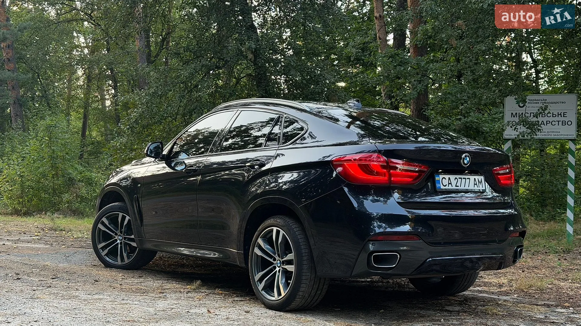 2019 BMW X6 - фото 1
