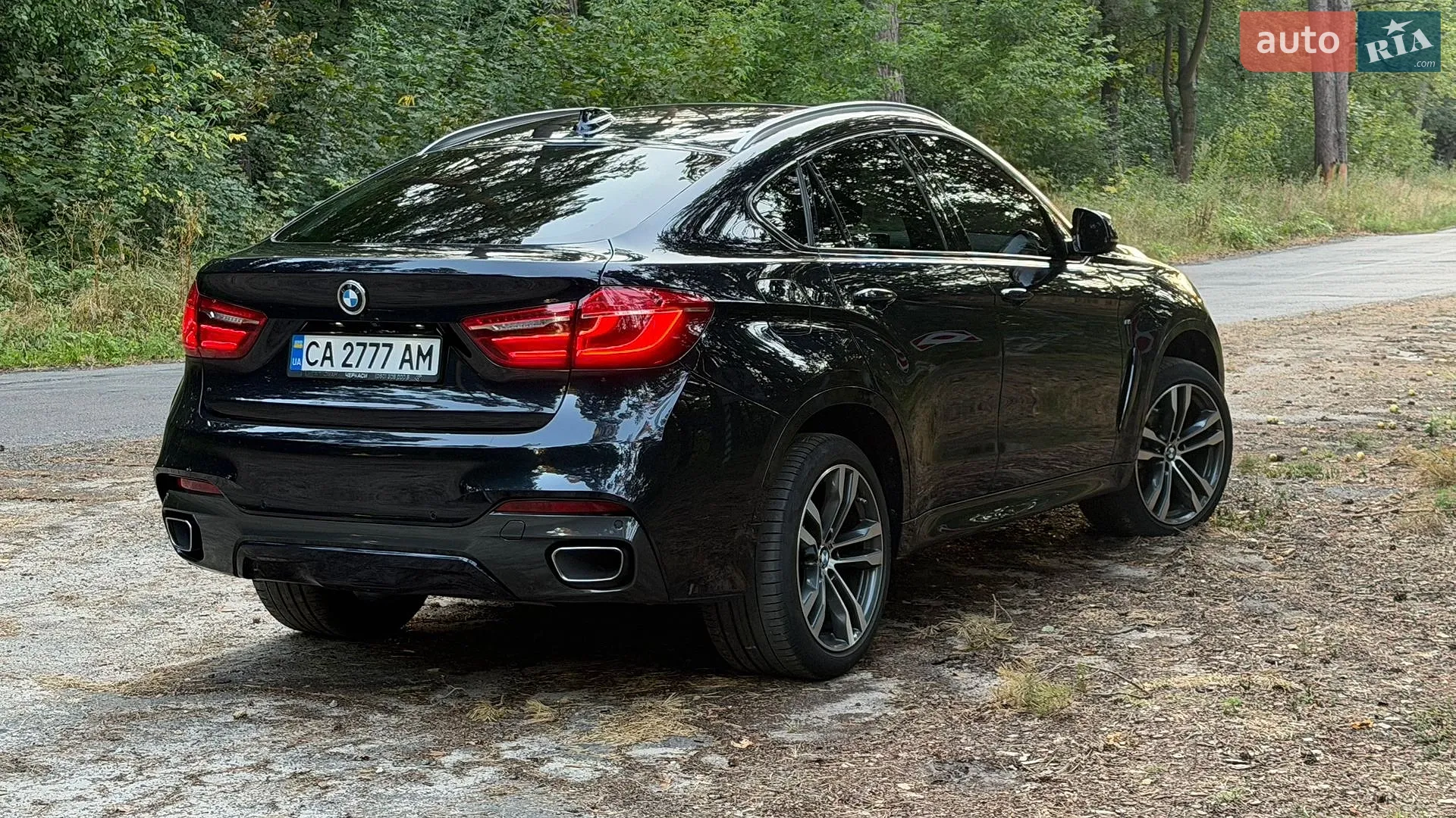 2019 BMW X6 - мініатюра 5