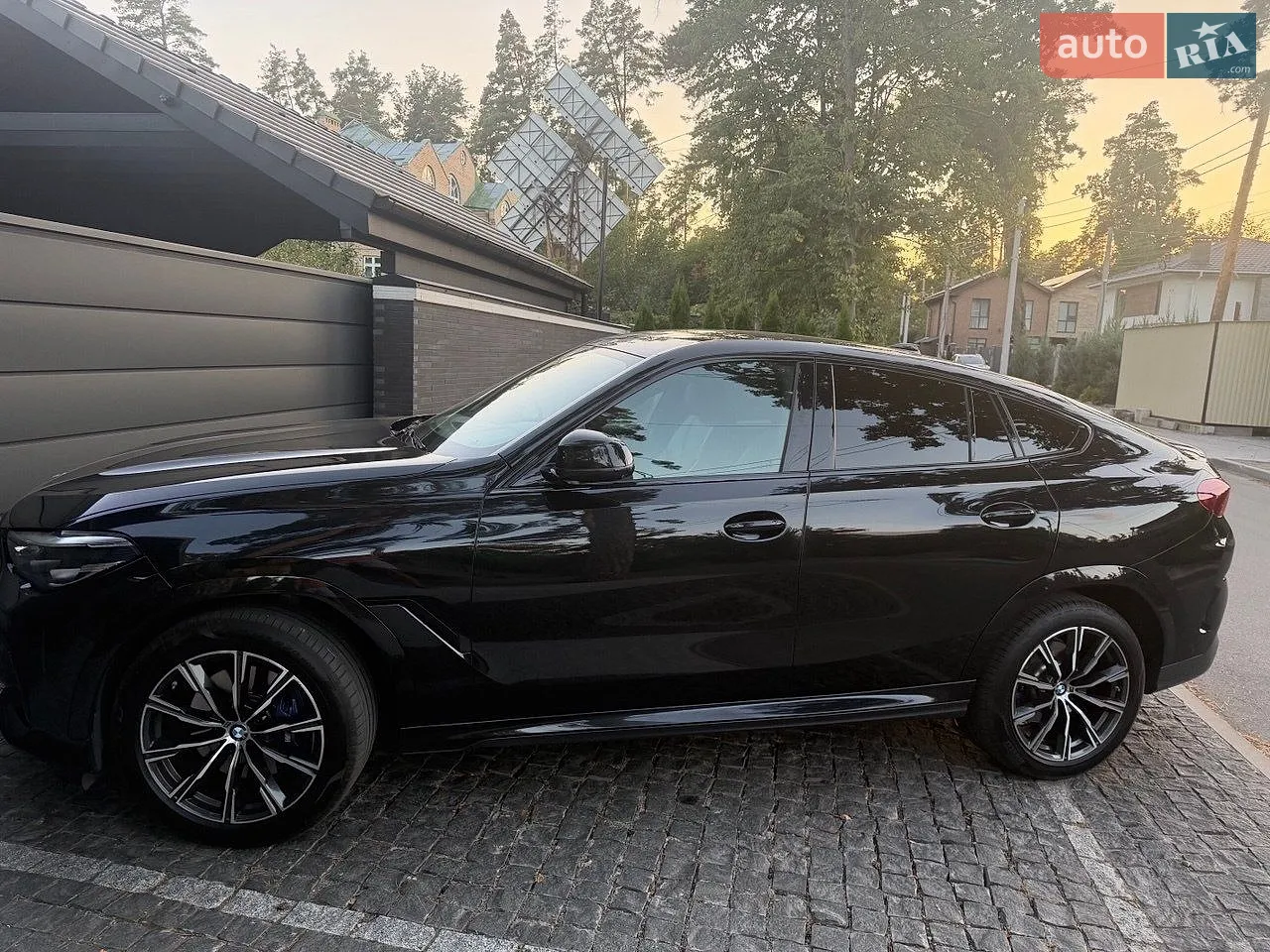 2021 BMW X6 - мініатюра 5