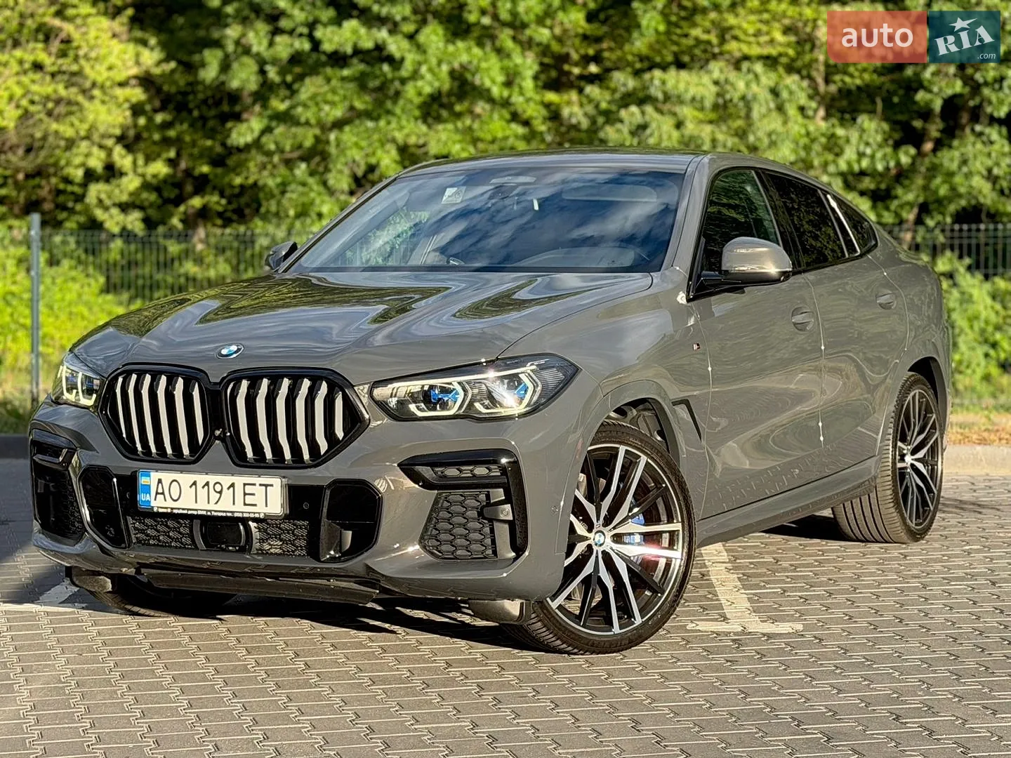 2021 BMW X6 - мініатюра 44