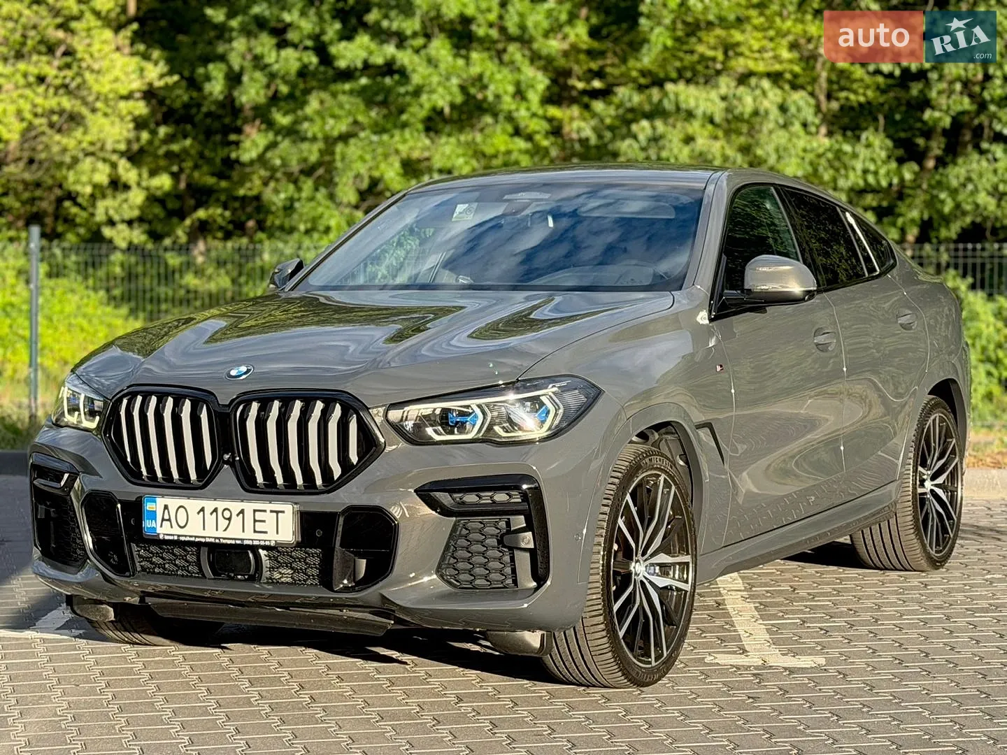 2021 BMW X6 - мініатюра 50