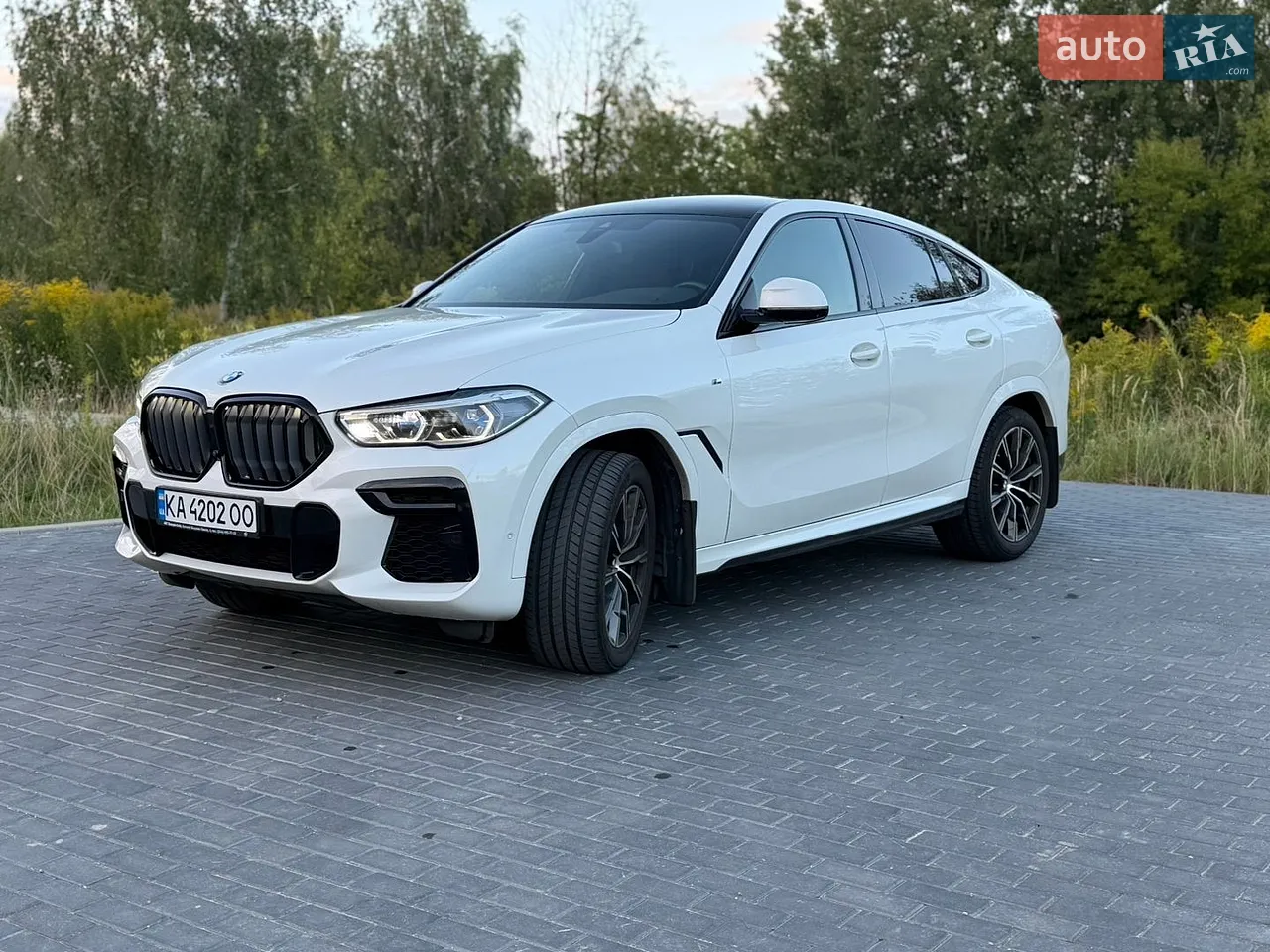 2023 BMW X6 - мініатюра 12