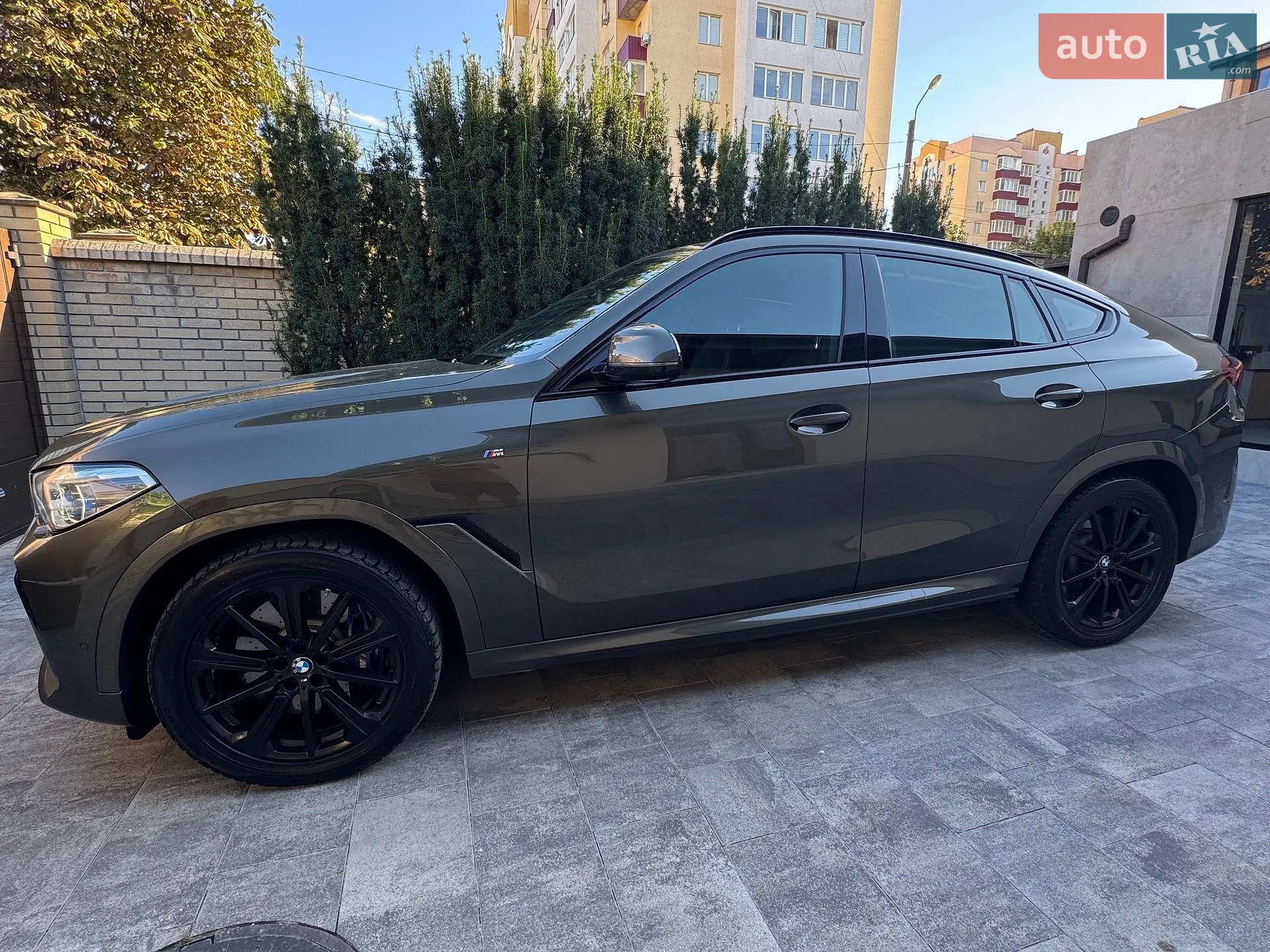 2020 BMW X6 - мініатюра 5