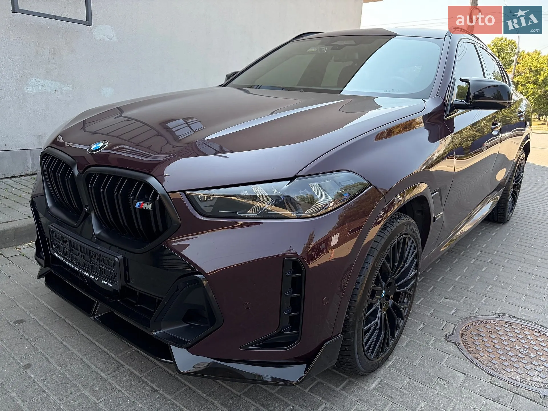 2023 BMW X6 - мініатюра 41