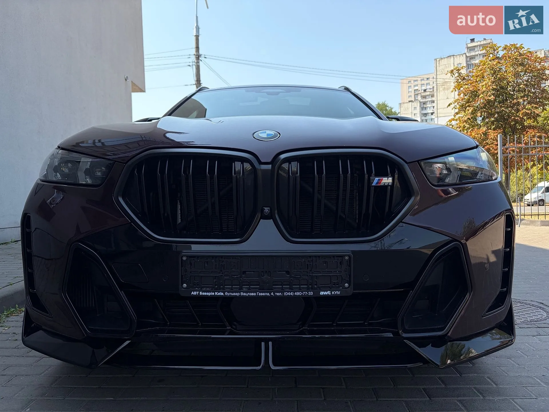 2023 BMW X6 - мініатюра 44