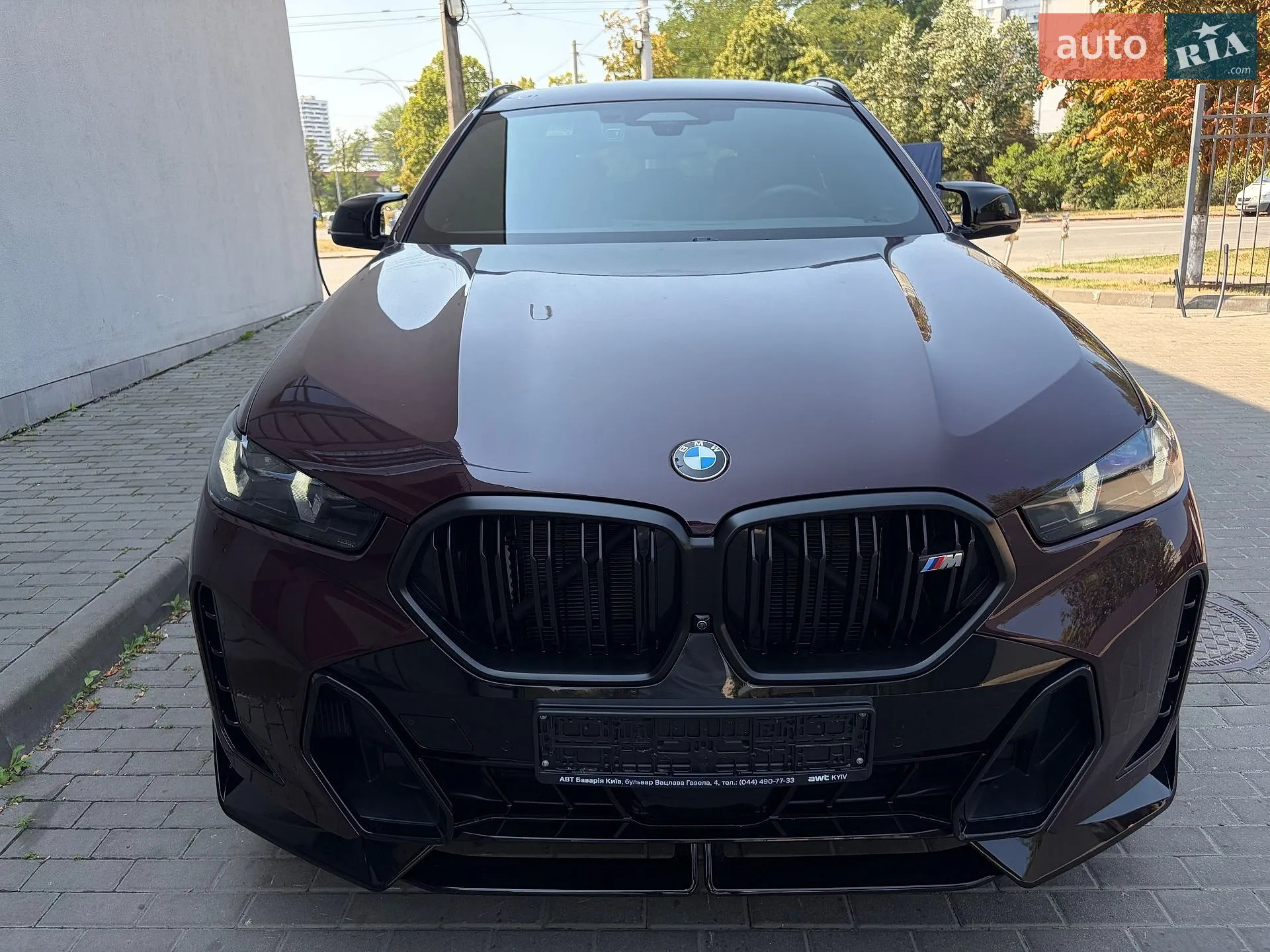 2023 BMW X6 - мініатюра 47