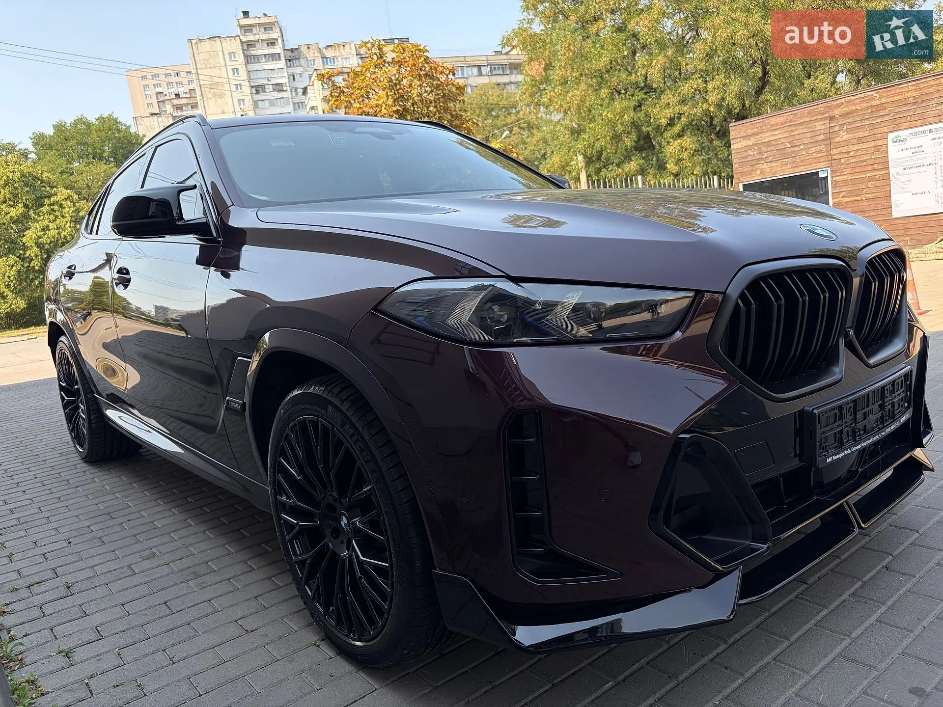 2023 BMW X6 - мініатюра 52