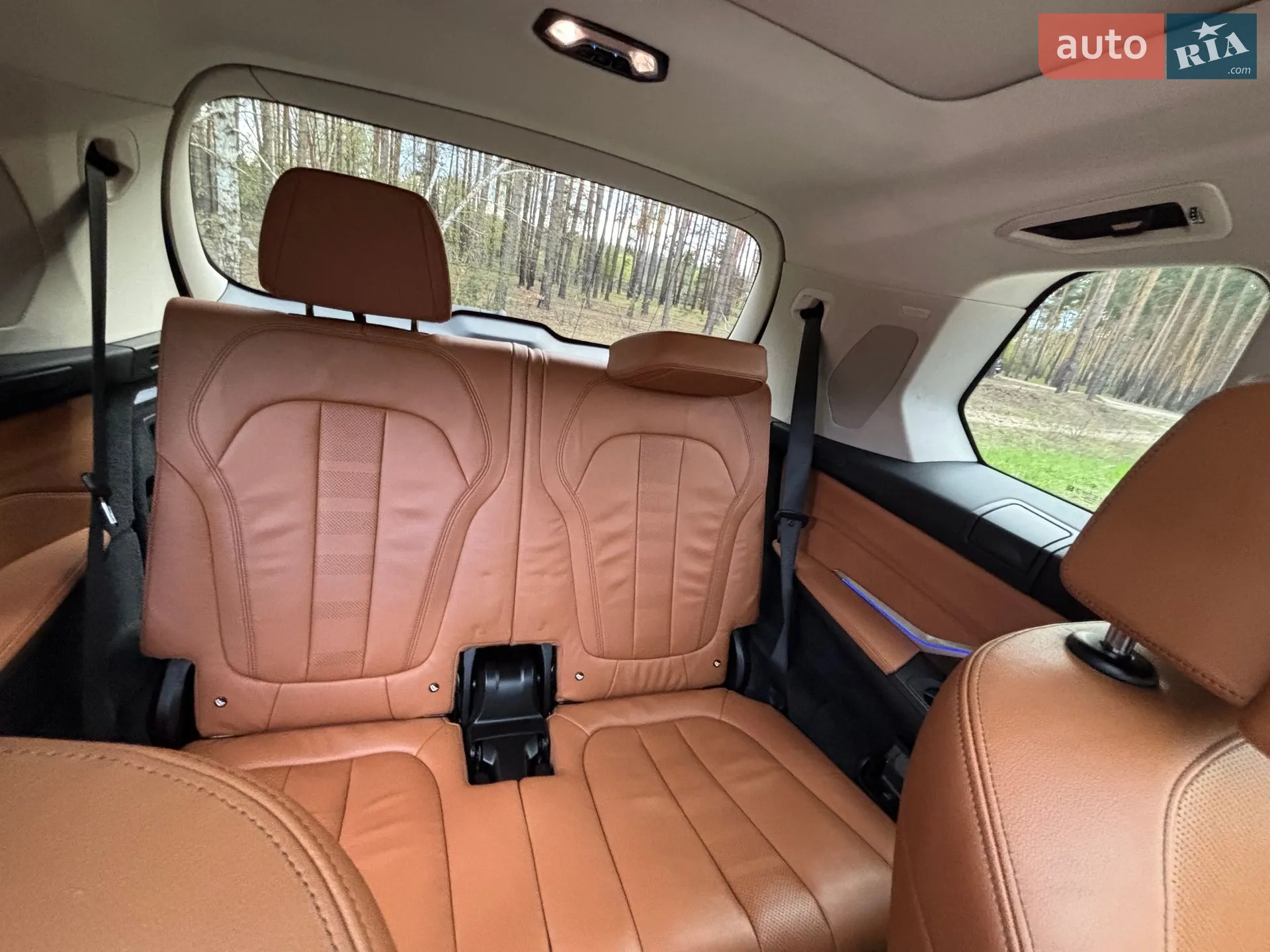 2019 BMW X7 - мініатюра 55