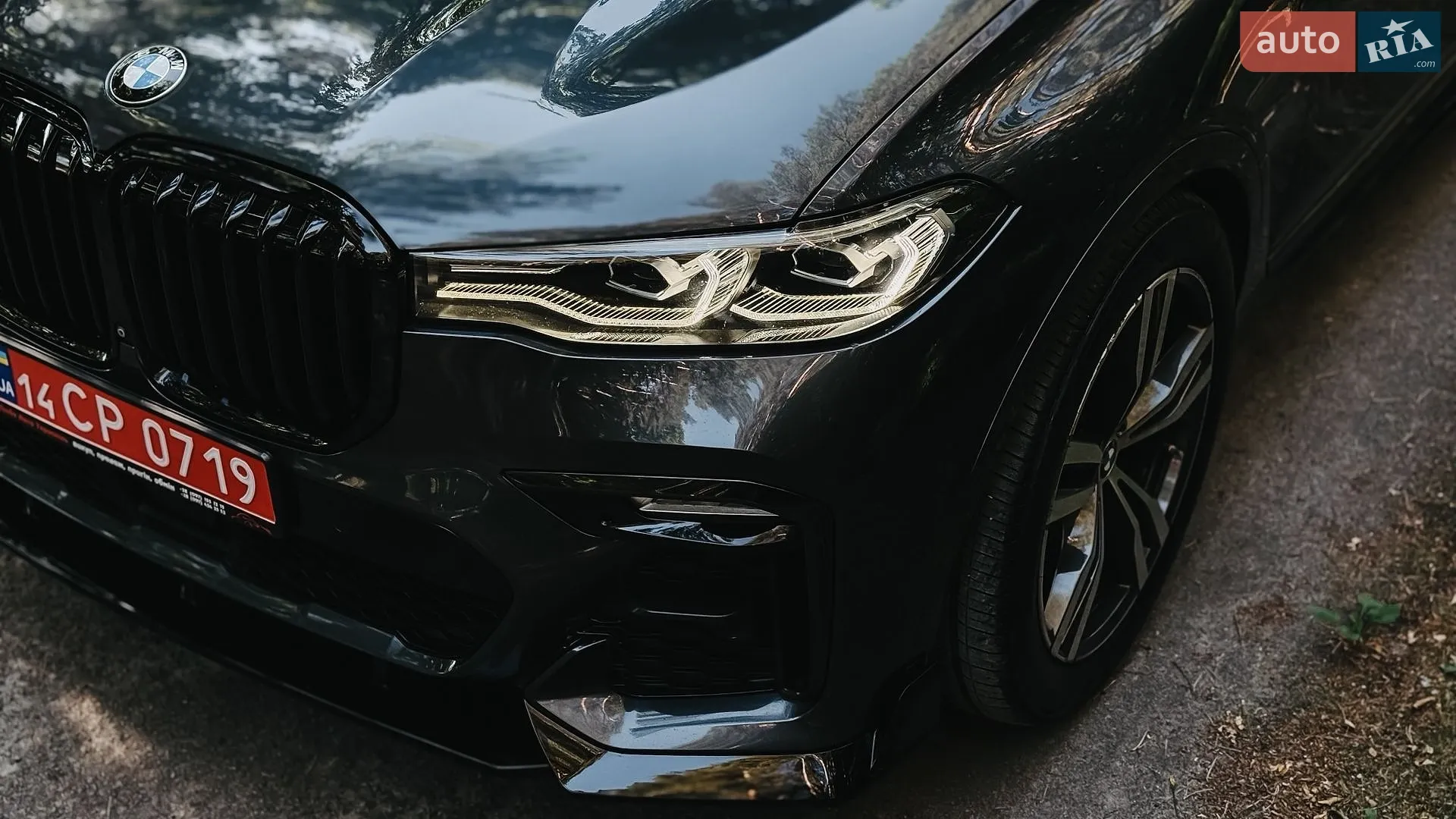 2019 BMW X7 - мініатюра 5