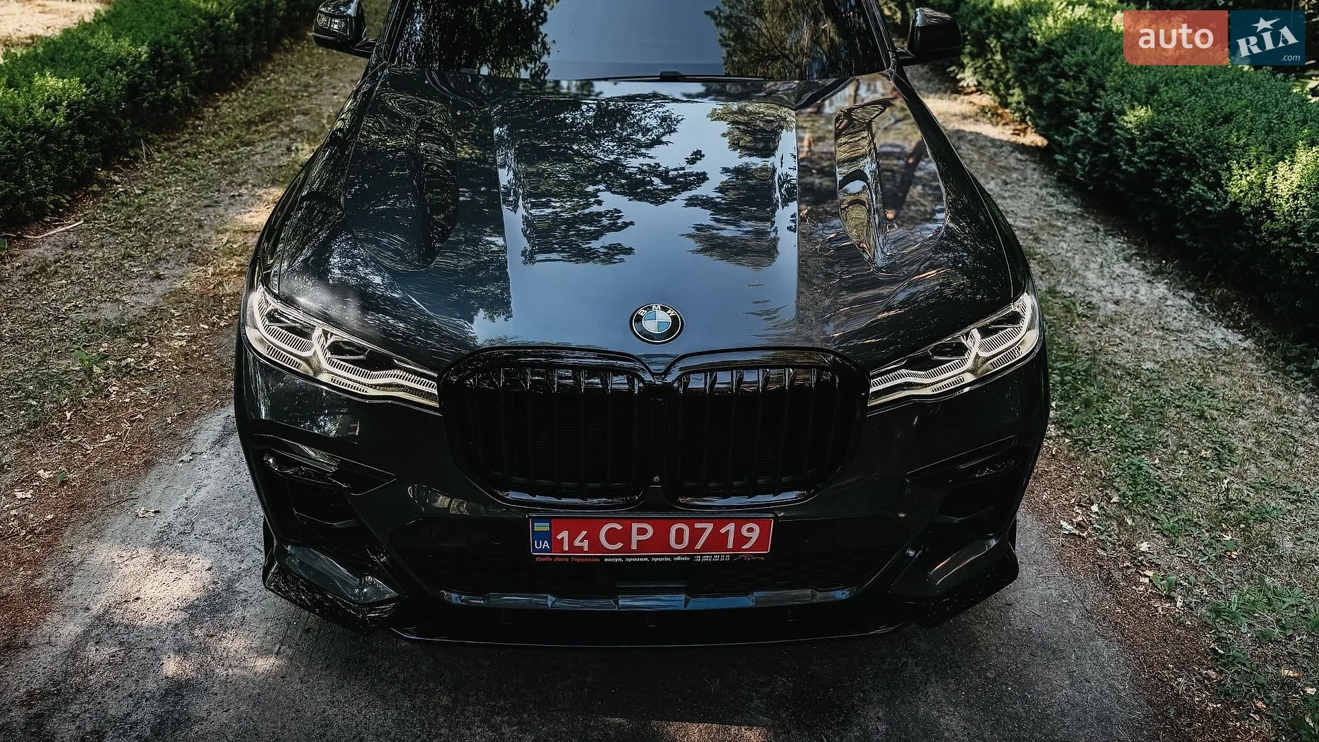 2019 BMW X7 - мініатюра 7