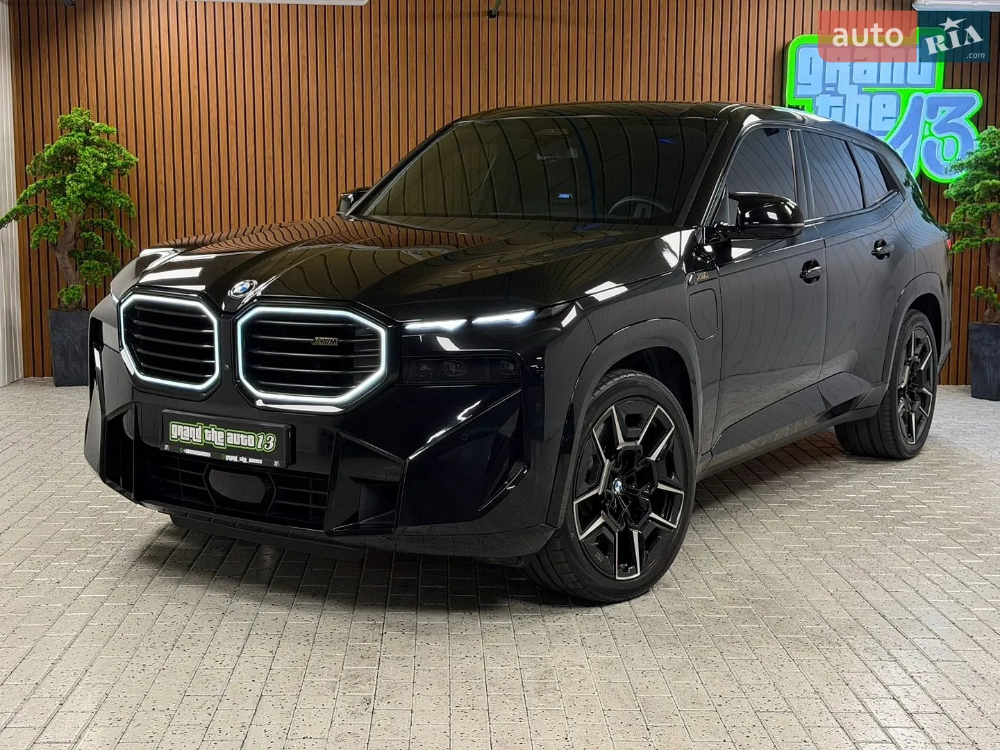 2023 BMW XM - мініатюра 6