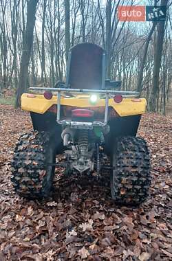 Квадроцикл спортивный BRP DS 250 2005 в 