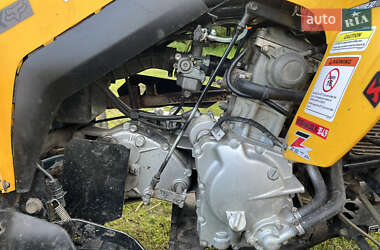 Квадроцикл спортивний BRP DS 250 2008 в 