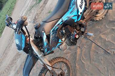 Вантажні моторолери, мотоцикли, скутери, мопеди BSE M250 2024 в Смілі