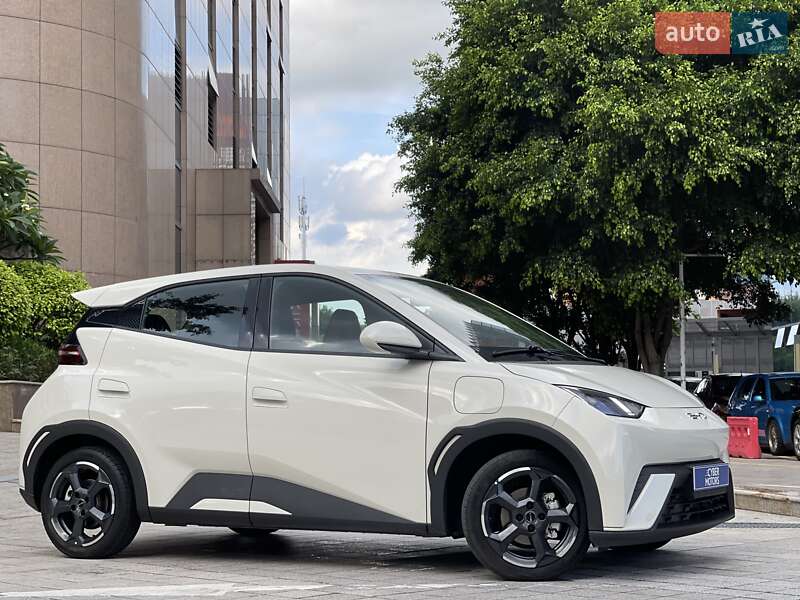 BYD Seagull 2024