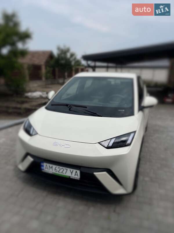 BYD Seagull 2024