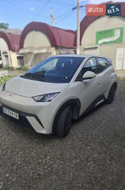 Хетчбек BYD Seagull 2024 в Чернівцях