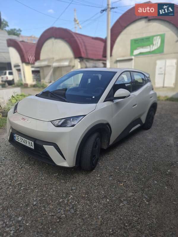 BYD Seagull 2024