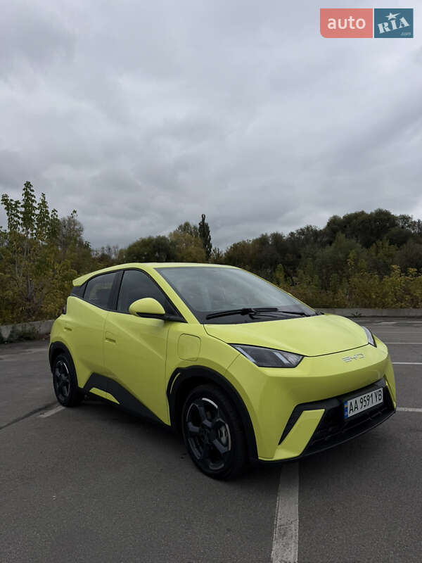 Хэтчбек BYD Seagull 2023 в Ирпене