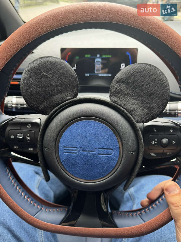 Хэтчбек BYD Seagull 2024 в Ивано-Франковске