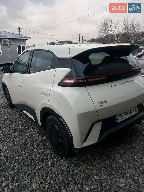 Хэтчбек BYD Seagull 2023 в Черновцах