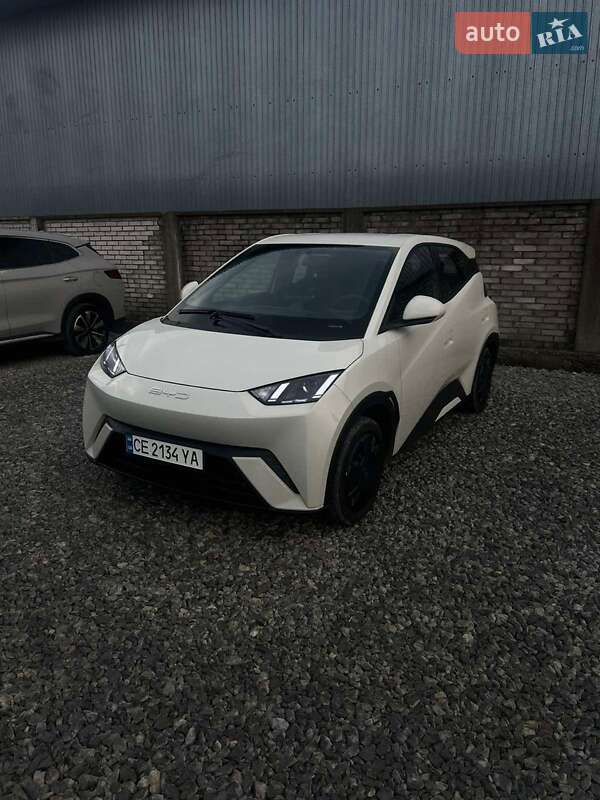 Хэтчбек BYD Seagull 2023 в Черновцах