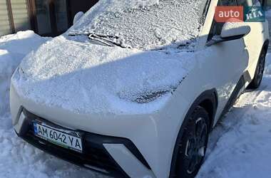 Хэтчбек BYD Seagull 2025 в Житомире