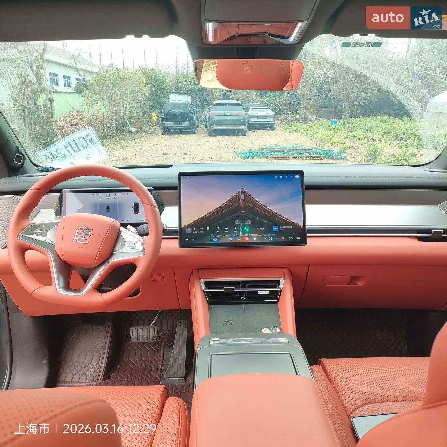 2025 BYD Tang - мініатюра 12