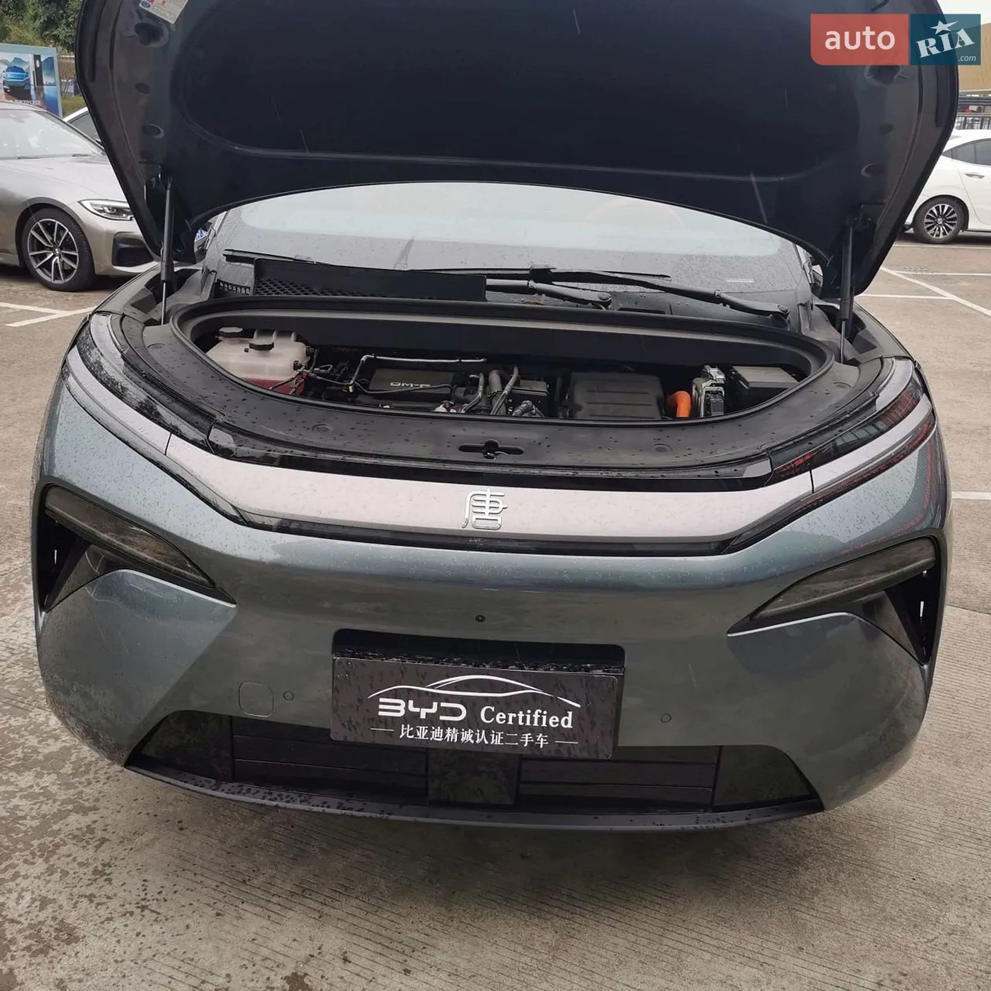 2025 BYD Tang - мініатюра 8
