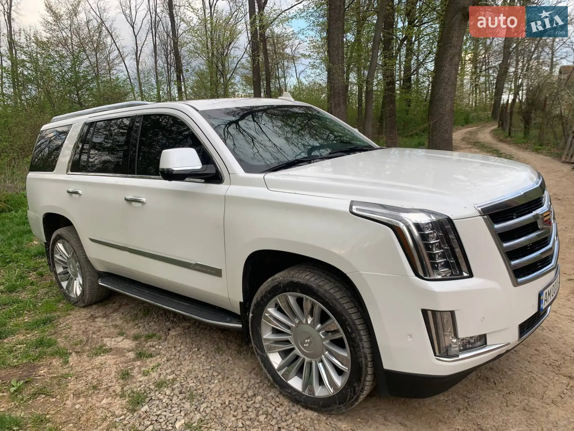 2019 Cadillac Escalade - мініатюра 16