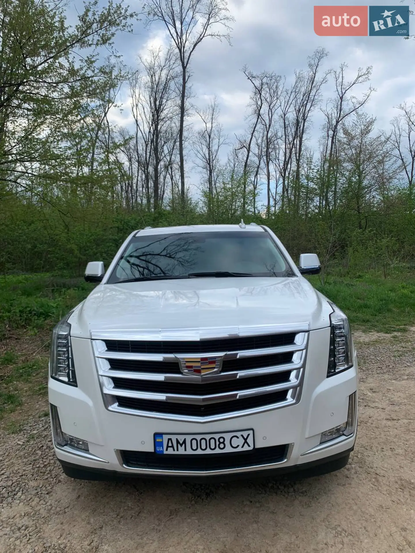 2019 Cadillac Escalade - мініатюра 17