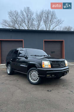 Позашляховик / Кросовер Cadillac Escalade 2002 в Переяславі