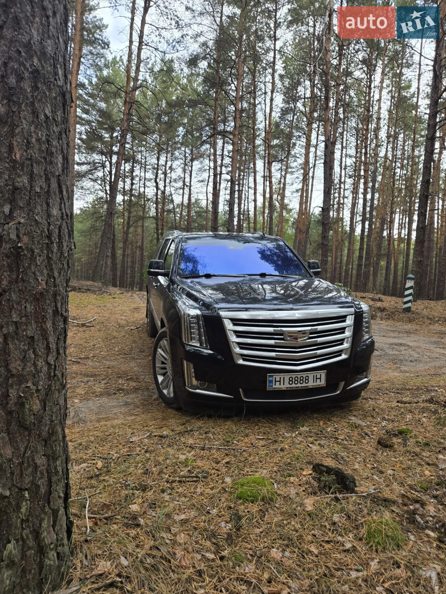 2017 Cadillac Escalade - мініатюра 55