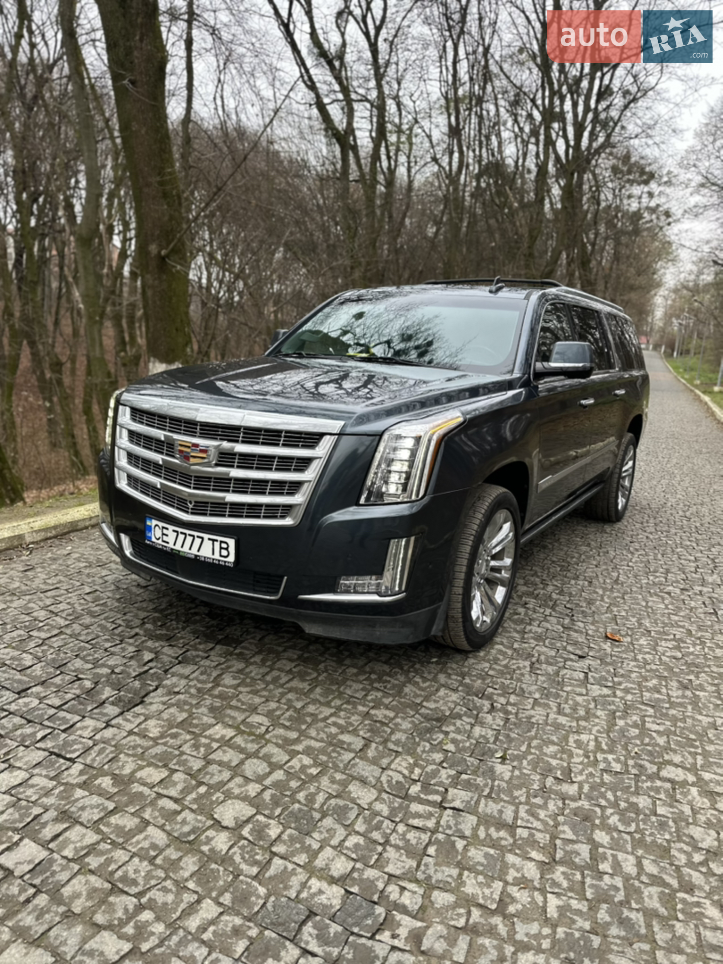 2018 Cadillac Escalade - мініатюра 2