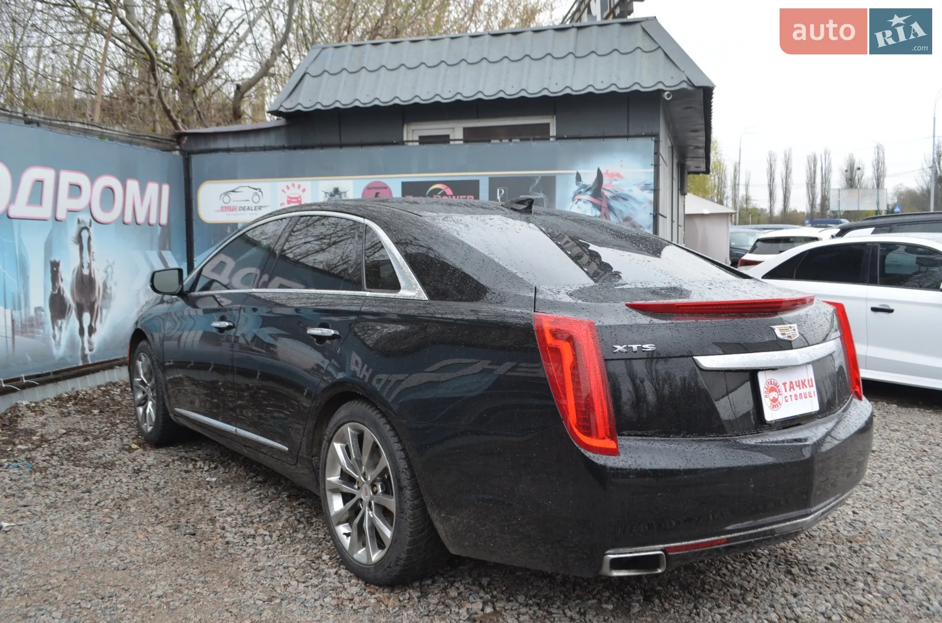 2016 Cadillac XTS - мініатюра 5