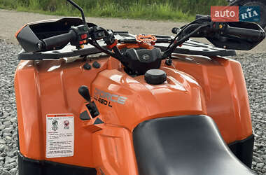 Квадроцикл утилітарний CFMOTO CForce 450L 2020 в 