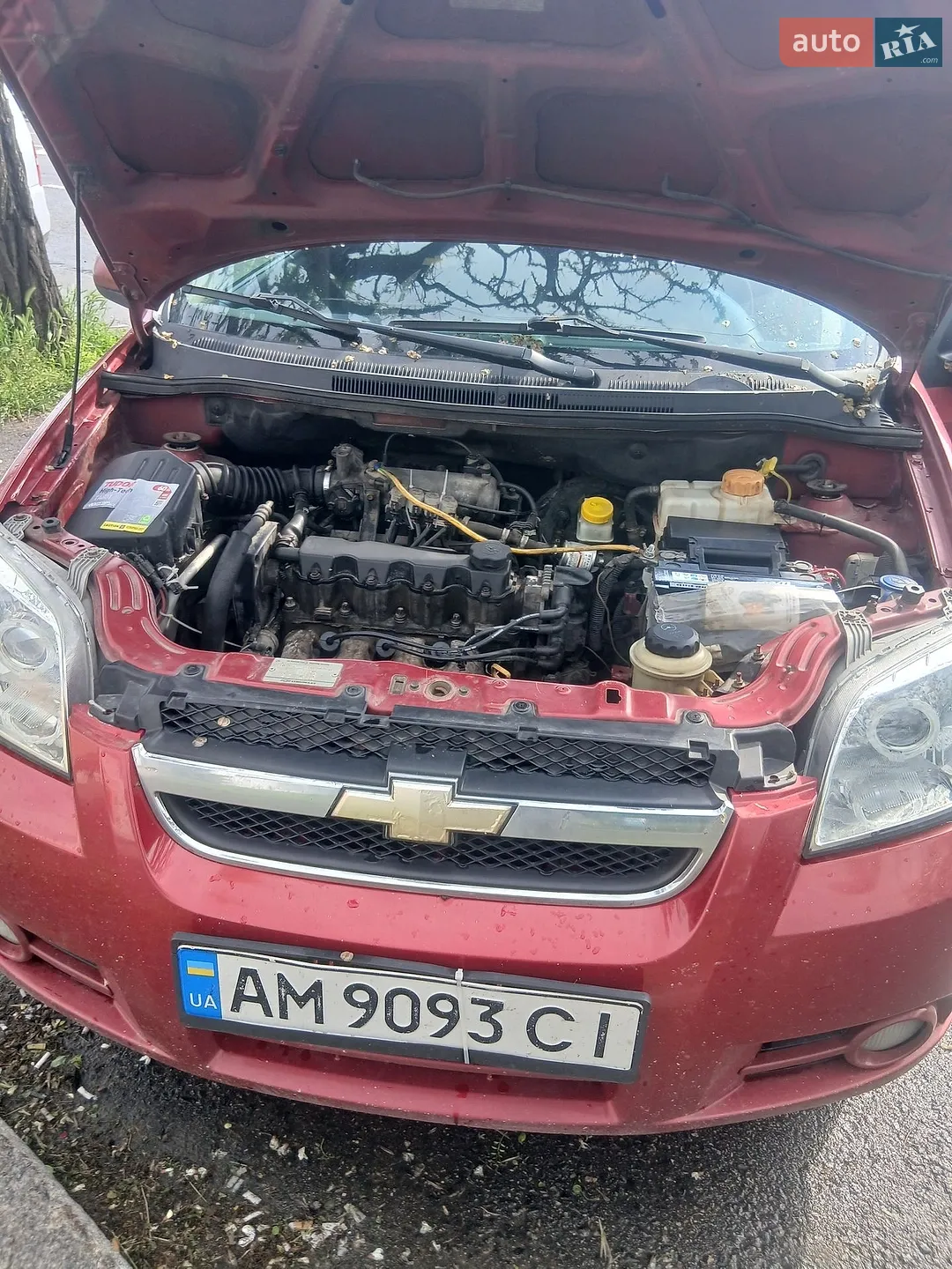 2010 Chevrolet Aveo - мініатюра 6