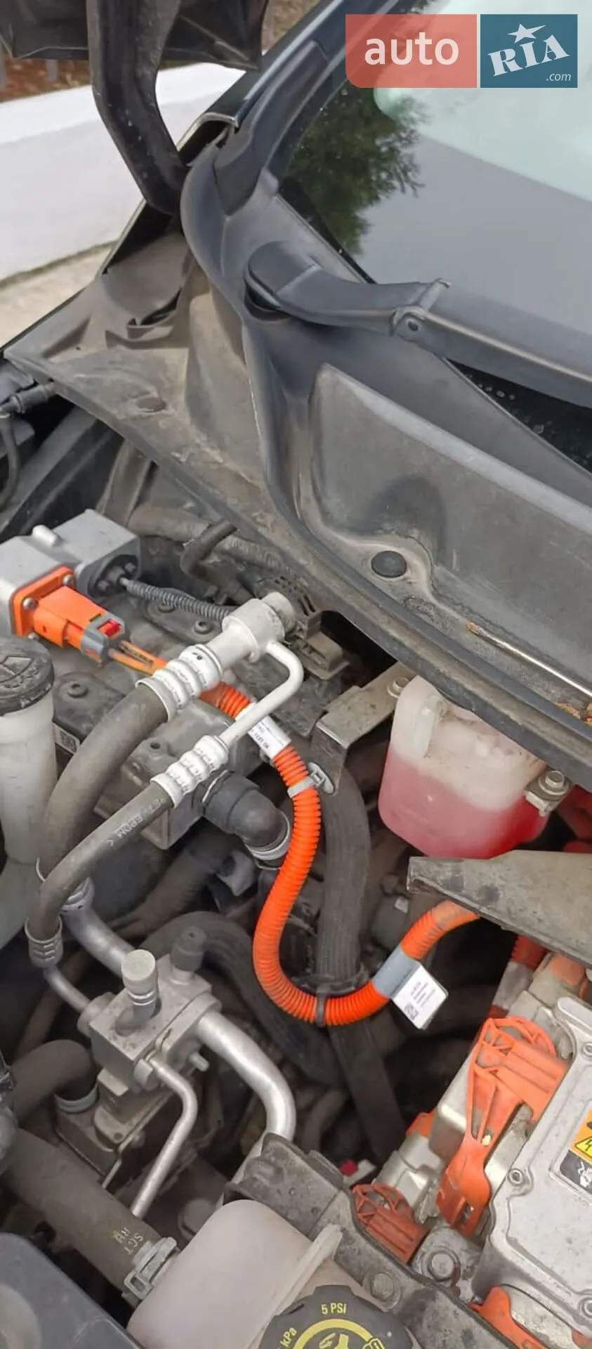 2016 Chevrolet Bolt EUV - мініатюра 29
